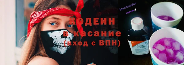 дмт Козловка