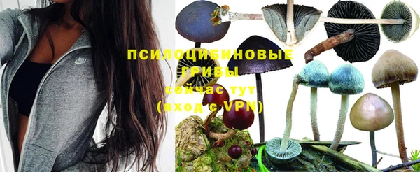 хмурый Кодинск