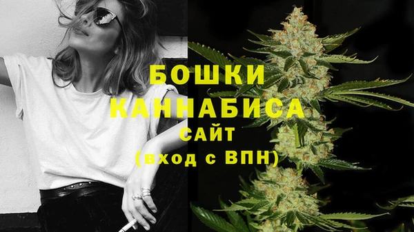 хмурый Кодинск