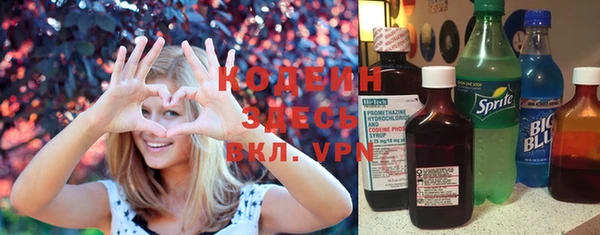 хмурый Кодинск