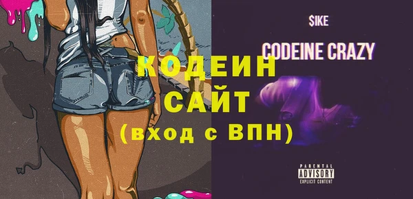 хмурый Кодинск